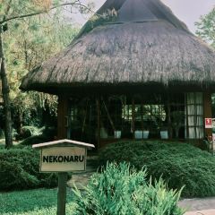 Nekoemon Cafe User Photo