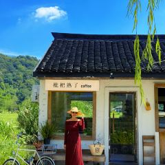 枇杷熟了coffee張用戶圖片