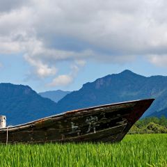 在发呆·lan's浪肆咖啡庄园 User Photo