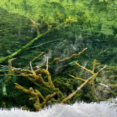 Bianbianjiecangyage Restaurant User Photo