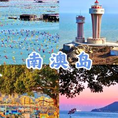 农夫码头海鲜排档(南澳店) User Photo