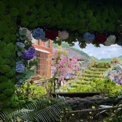 山房全景餐厅 여행 사진