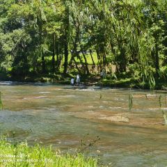 天台泰和开元大酒店·餐厅 User Photo