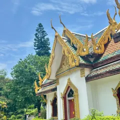 Titalk cafe User Photo