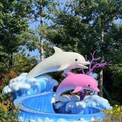 FREE TIME User Photo