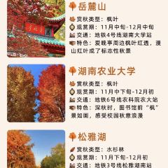 豆夫酥酥臭名远扬臭豆腐(总店) User Photo