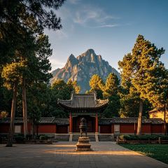 AWU YELLOW RIVER COMMON CARP 여행 사진