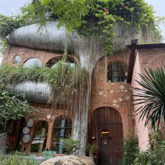 Mặn Mòi - Tao Đàn User Photo