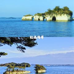 善治郎張用戶圖片