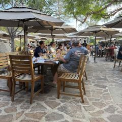 Stone Brewing World Bistro & Gardens – Liberty Station User Photo