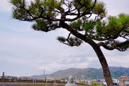 Tsujirihei Honten - Kyoto Uji Main Shop
