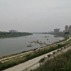 汇龙大酒楼有限公司(新兴店) User Photo