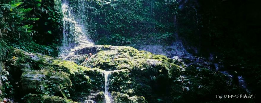 Daweishan Yuanshi Forest Park