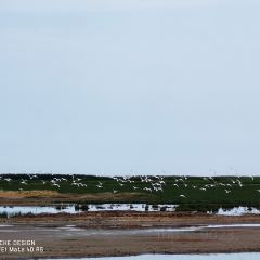 乌梁素海 User Photo