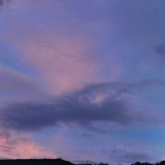 Orangutan Bunker User Photo