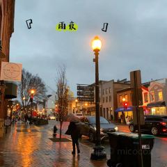 Georgetown Cupcake 여행 사진