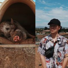 Toast 여행 사진