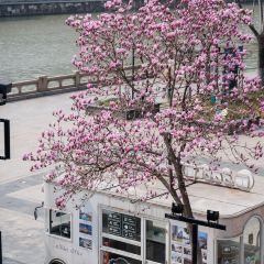 麥當勞（常州西瀛裡店）張用戶圖片