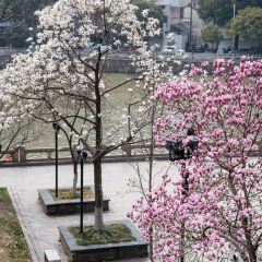 麥當勞（常州西瀛裡店）張用戶圖片