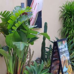 蜜悦·秘野仙踪半山森林餐厅 User Photo