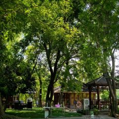 獨一處草堂張用戶圖片