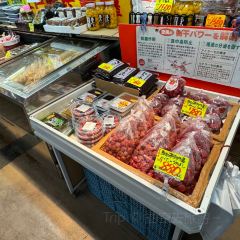 Saito Sozaiten Korokkeya 여행 사진