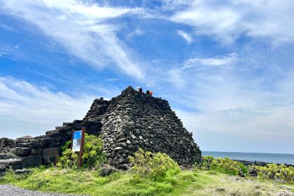 Bhc Chicken Beer Plate