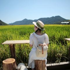 在发呆·lan's浪肆咖啡庄园 User Photo