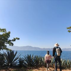 抚仙湖·自在汐岸咖啡餐吧 User Photo