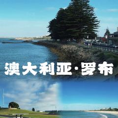 Sky Seafood User Photo