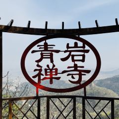 天香楼水馅包孑 User Photo