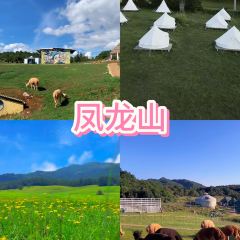 寻甸聚缘农庄 User Photo