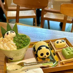 Panda Family User Photo