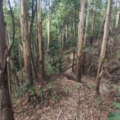 山涧别院 User Photo