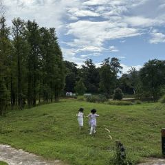 树蛙部落(仙女湖店)·餐厅 User Photo
