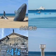 JIN SHANG REASTAURANT User Photo