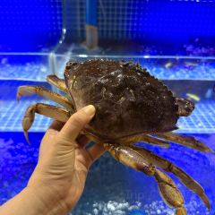 林姐香味海鮮·三亞老字號（石梅灣店）張用戶圖片