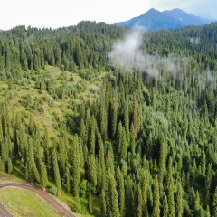 高胡赛东乡人家 User Photo