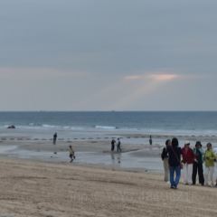 北海银滩皇冠假日酒店·全日餐厅 User Photo