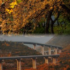 杨记灌肠(食品街店) User Photo