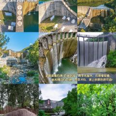 南山一品酒樓張用戶圖片