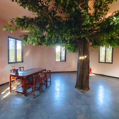 SAN BAO BIE YUAN REASTAURANT User Photo