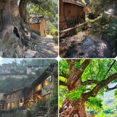 林家铺子(锦园店) User Photo