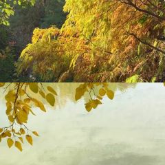 铁锅年代(天台店) User Photo