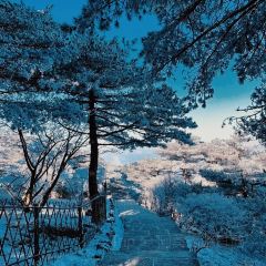 秀嫂挞粿 User Photo