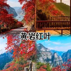 一家館子紙包魚張用戶圖片