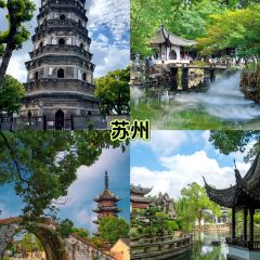 聚春園(南后街店)張用戶圖片