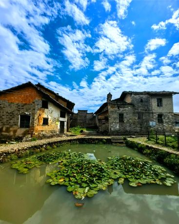 Yiqian Lotus Ancient Town