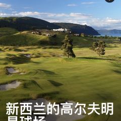 The French Café User Photo