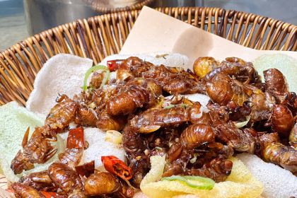 一笑楼老店(新安路店)